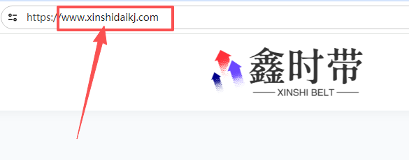 游览器的网站域名截图