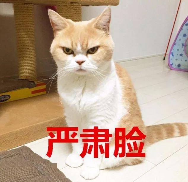 有人故意搞网站-生气