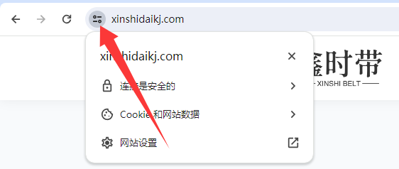 游览器检查SSL证书状态截图教程