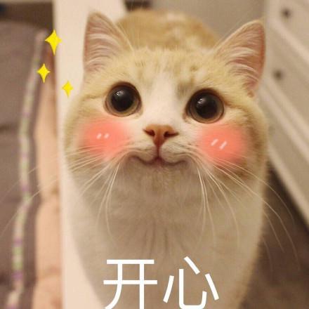 网站权重是什么意思解释