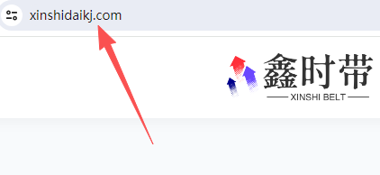 网站域名截图