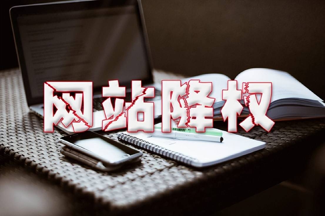 网站被降权与排名正常波动区别分析